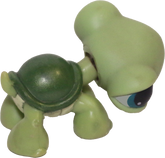 #0187 Turtle
